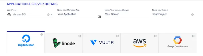 Cloudways review for WordPress