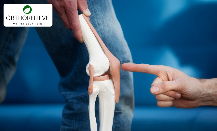 5 Ways OrthoRelieve Supports Joint and Muscle Health!