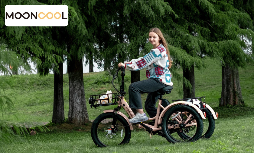 Mooncool eBikes: Affordable Power on Two Wheels!