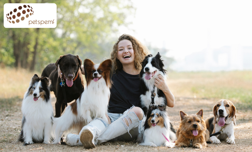 PetsPEMF Customer Reviews: Stories from Pet Owners!