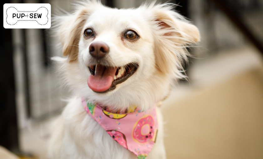 PupSew: Custom Apparel & Accessories!