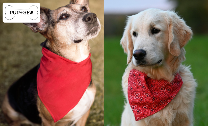 PupSew vs Generic Pet Gear: Which Is Better?