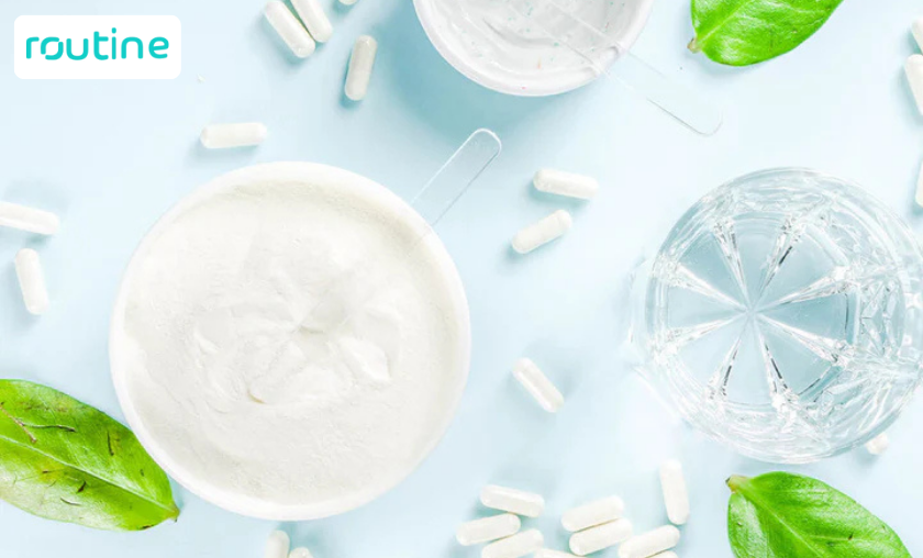 Routine Probiotics: Ingredients, Benefits, and Real Reviews!