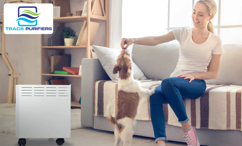 TRACS Air Purifiers: Are They Worth the Investment?
