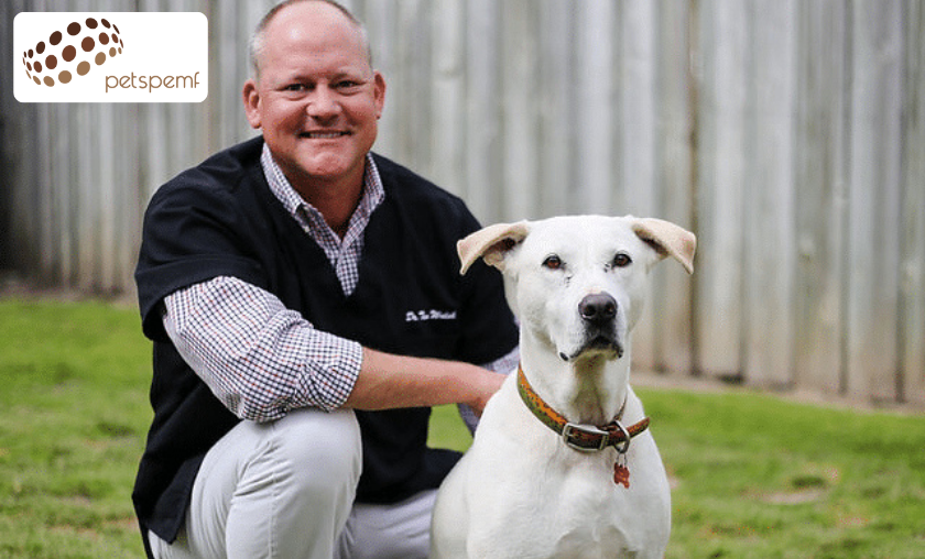 The Story of PetsPEMF: Innovation in Pet Care!