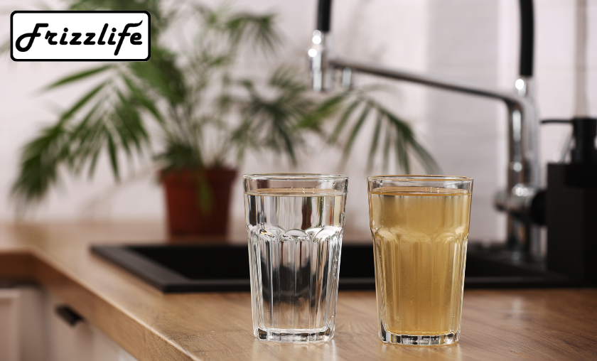 Frizzlife vs Other Brands: What Makes It Superior!