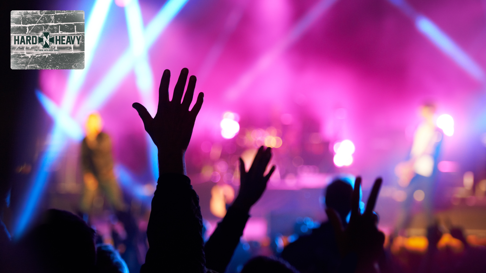 HARD'N'HEAVY Customer Reviews: Voices of Rock Fans!
