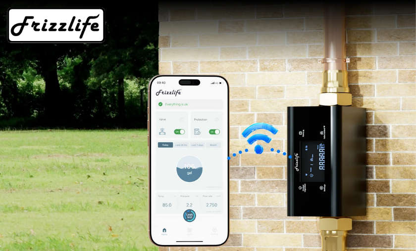 How Frizzlife Improves Health & Sustainability!