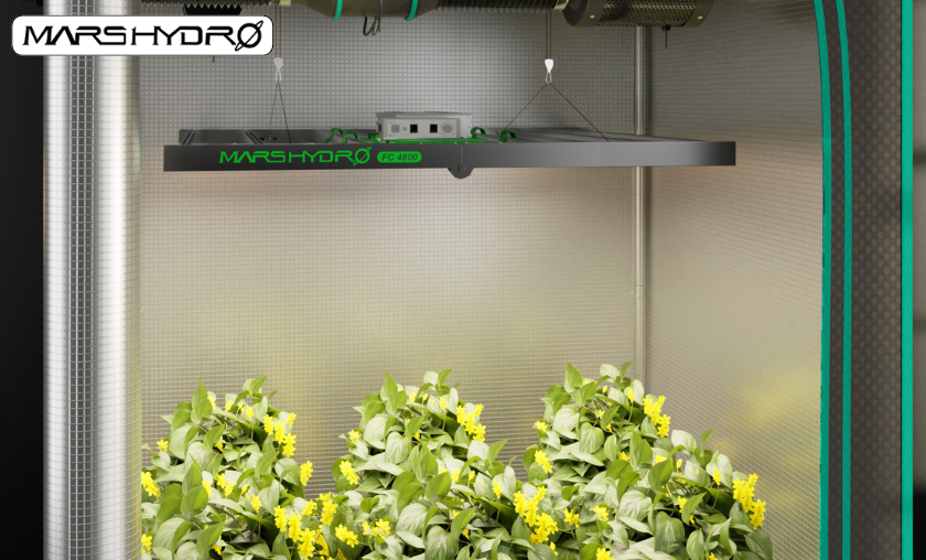 How Mars Hydro Supports Faster, Healthier Plant Growth!
