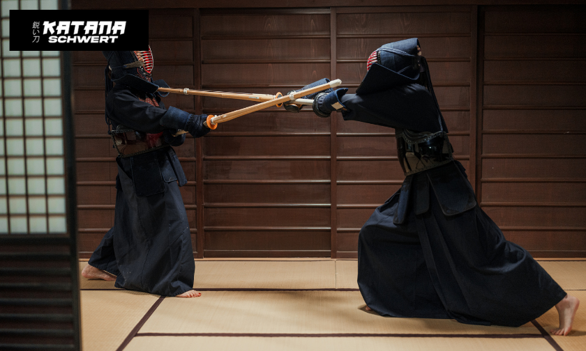 Katana Schwert Customer Reviews: Stories from Collectors!