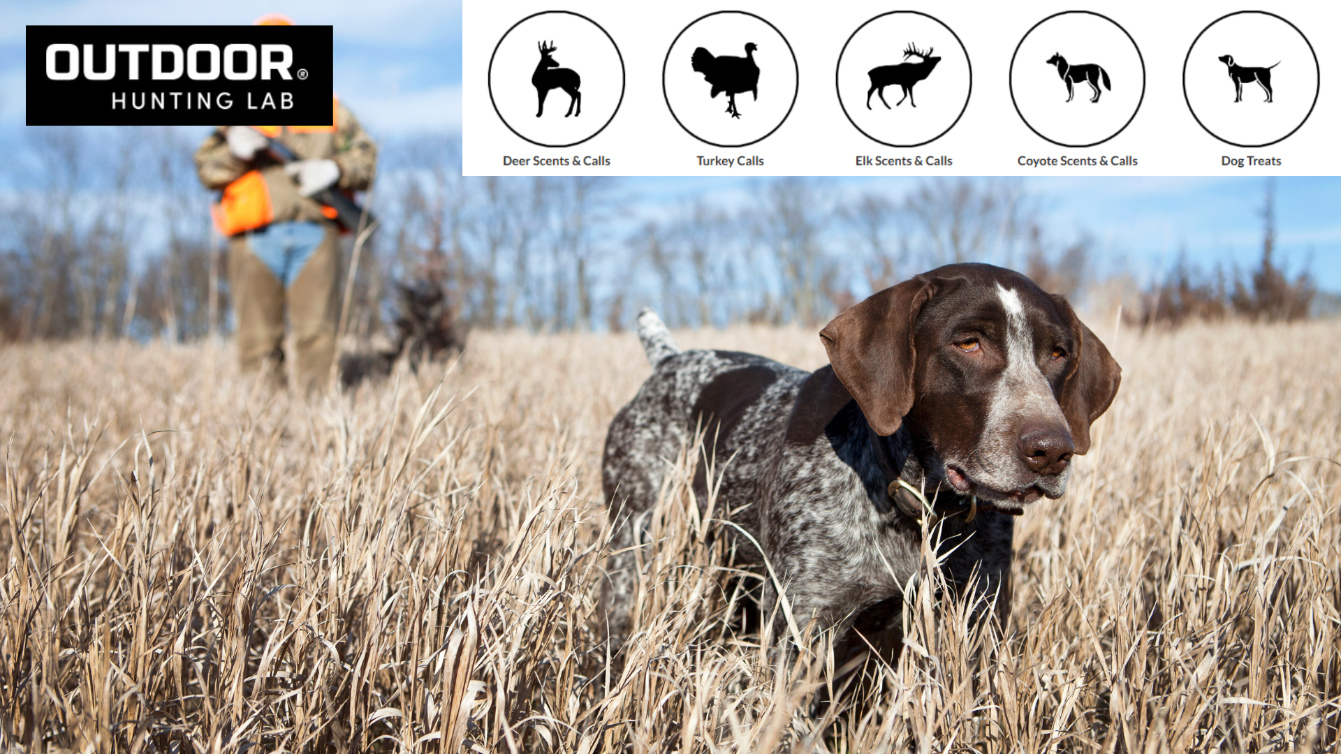 Outdoor Hunting Lab vs Other Brands: Field-Tested Advantage!