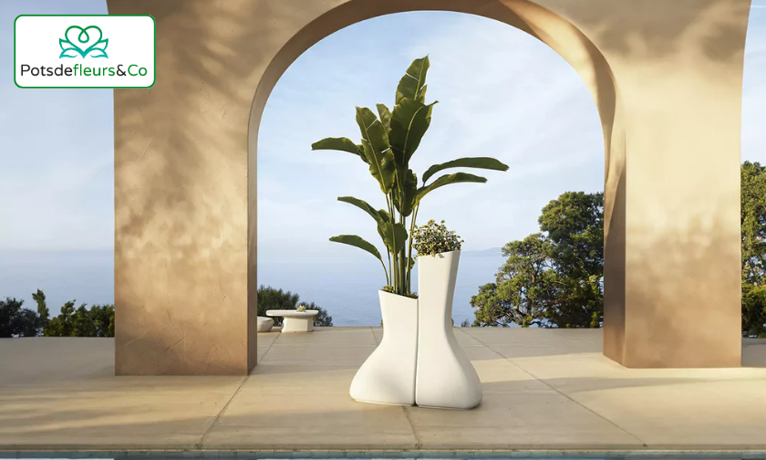 Pots de Fleurs & Co vs Other Brands: Beauty Meets Durability!