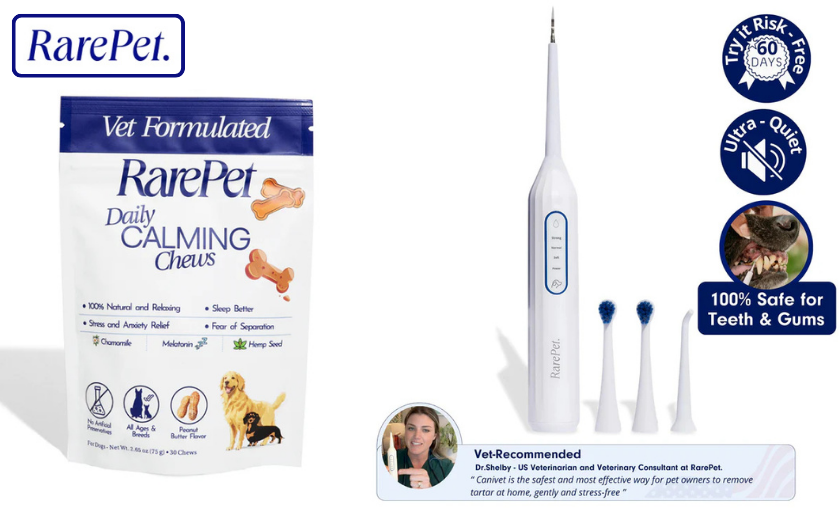 RarePet Review: Smarter Dental Care for Dogs!