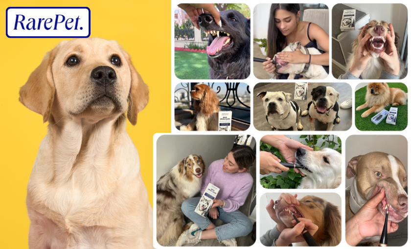 RarePet vs Other Brands: What Makes It Unique!