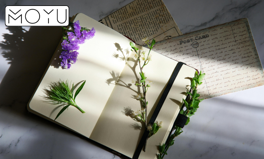 Reasons to Use MOYU Notebooks for Work & Study!