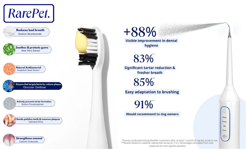 Reasons to Use RarePet for Your Dog’s Dental Care!
