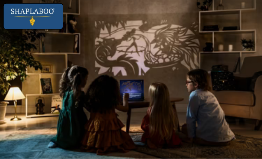 SHAPLABOO vs Other Brands: What Makes It Unique!