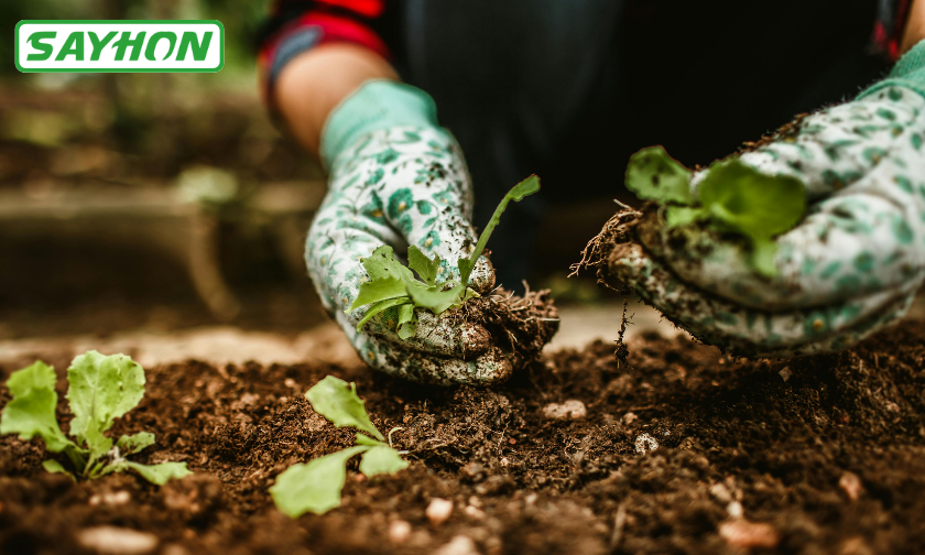 Sayhon Customer Reviews: Plant Lovers Speak Out!