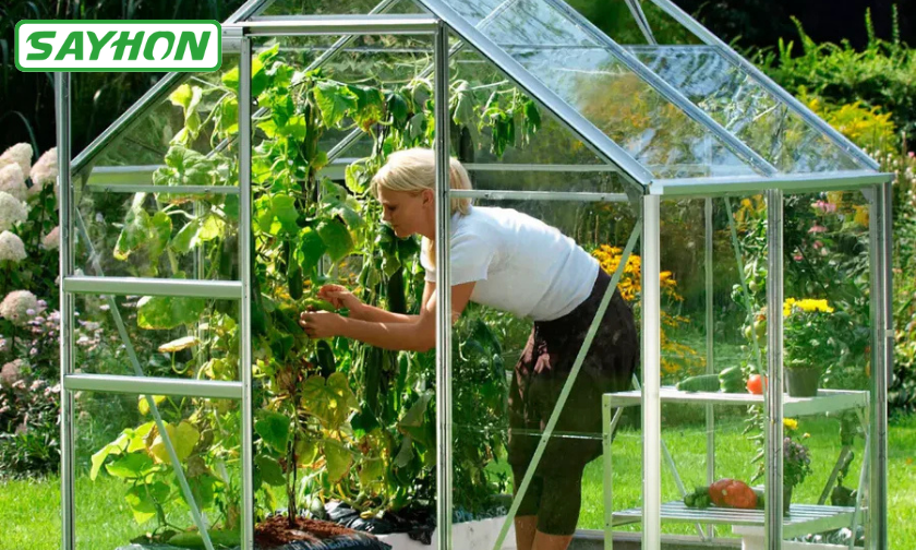 Sayhon Review: Lighting for Thriving Gardens!