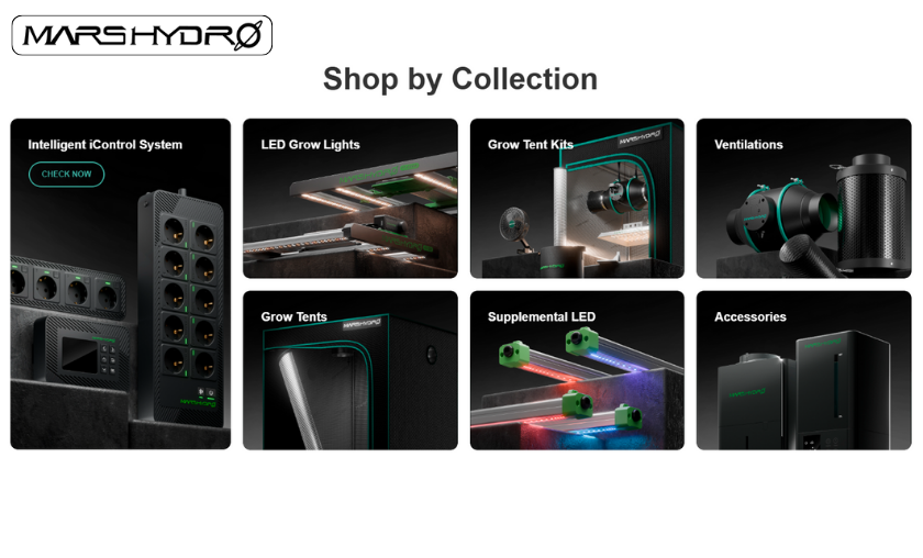 The Story of Mars Hydro: Revolutionizing Indoor Cultivation!