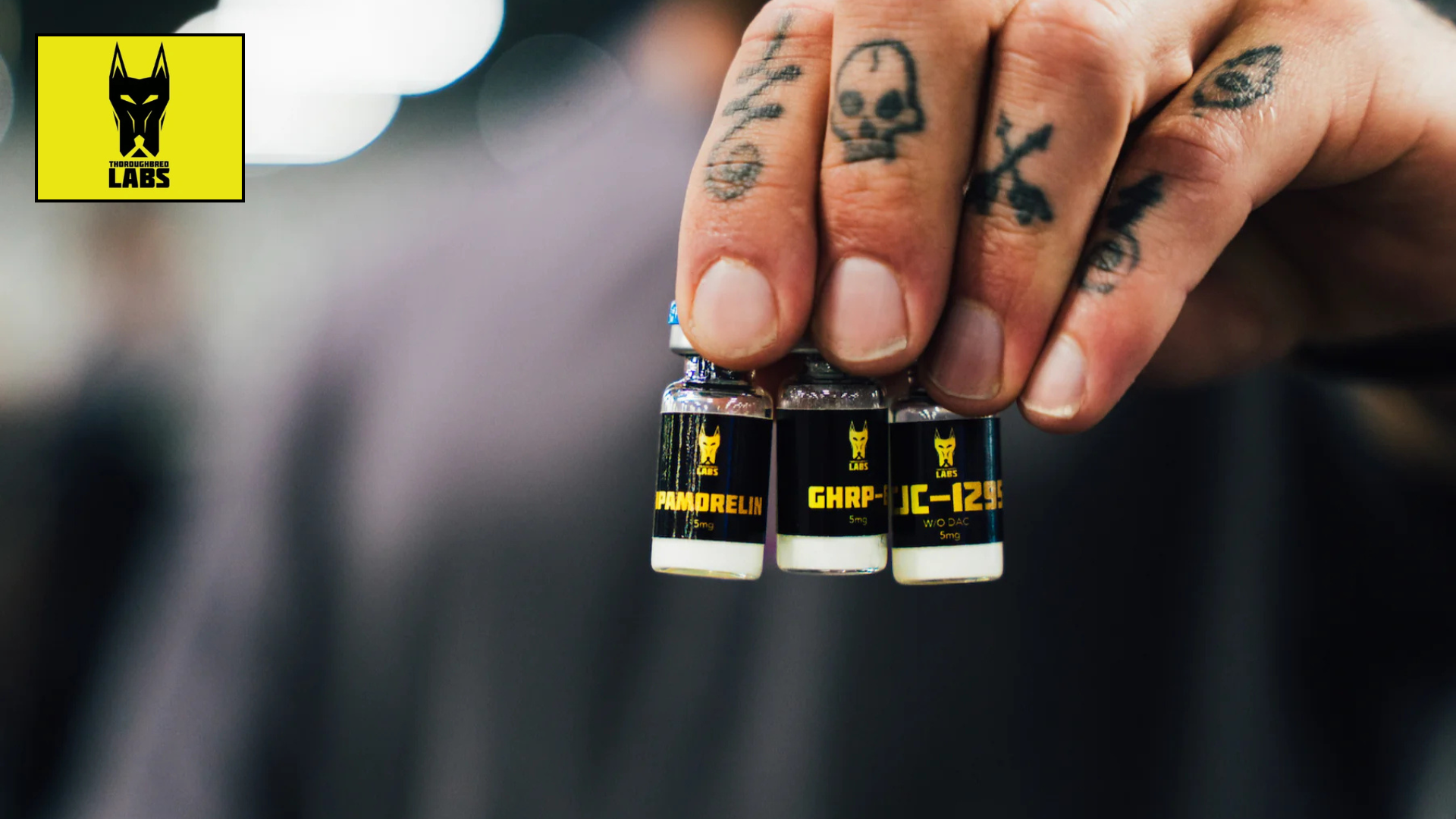 The Story of Thoroughbred Labs: Built for Performance!
