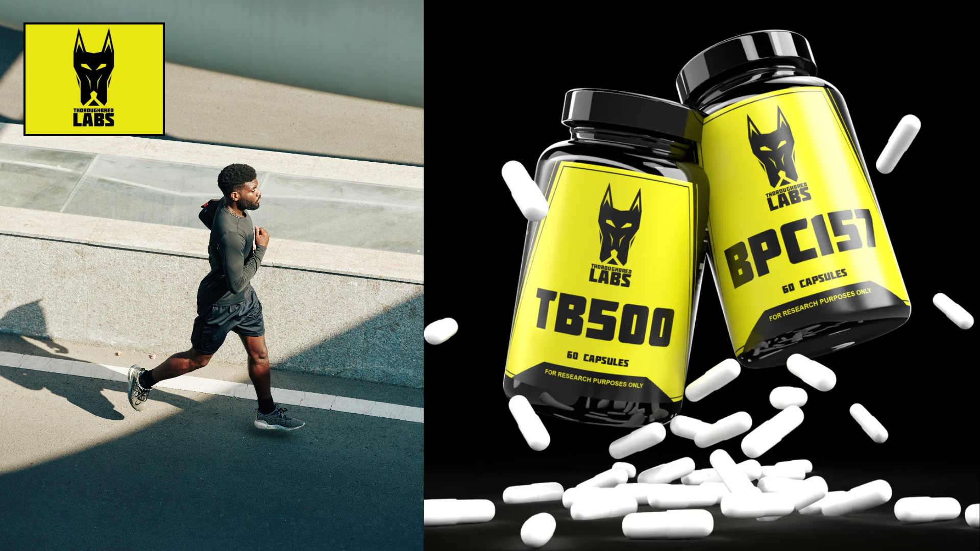 Thoroughbred Labs vs Other Brands: Science Meets Performance!