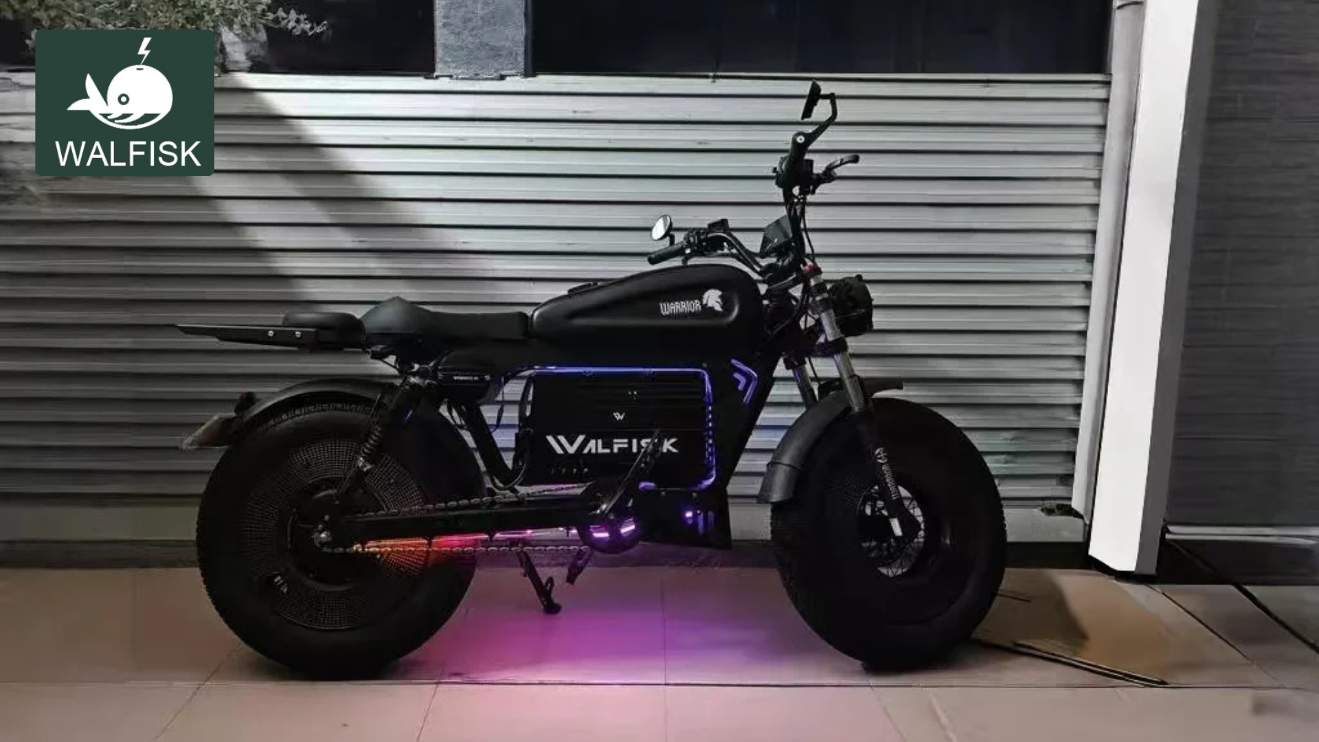 WALFISK Ebike Review: Power Meets Performance on Two Wheels!