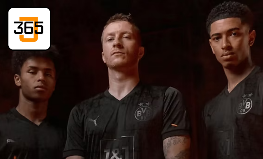 365Jersey Review – Destination for Sports Fans and Collectors!