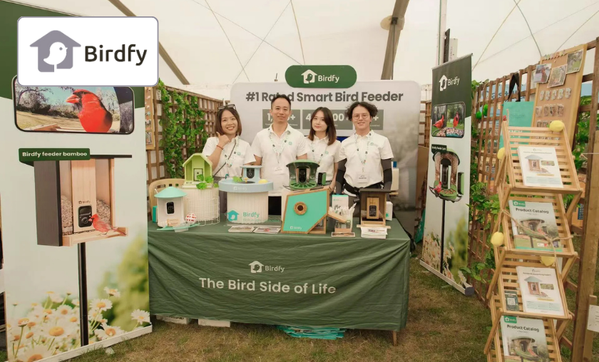 Birdfy Review: Bringing Nature Closer to Your Window!