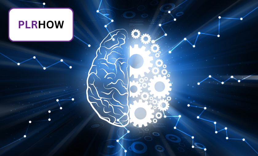 PLRHOW Review – Empowering Through Digital Freedom!