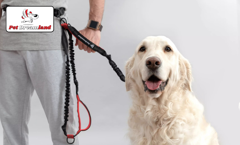 PetDreamland Review – Redefining the Way You Walk Your Dog!