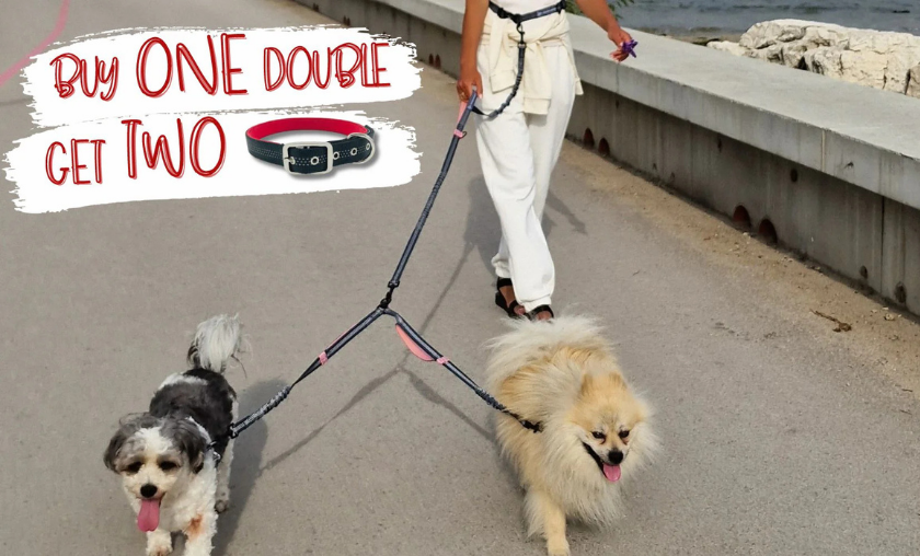 PetDreamland vs Other Brands!