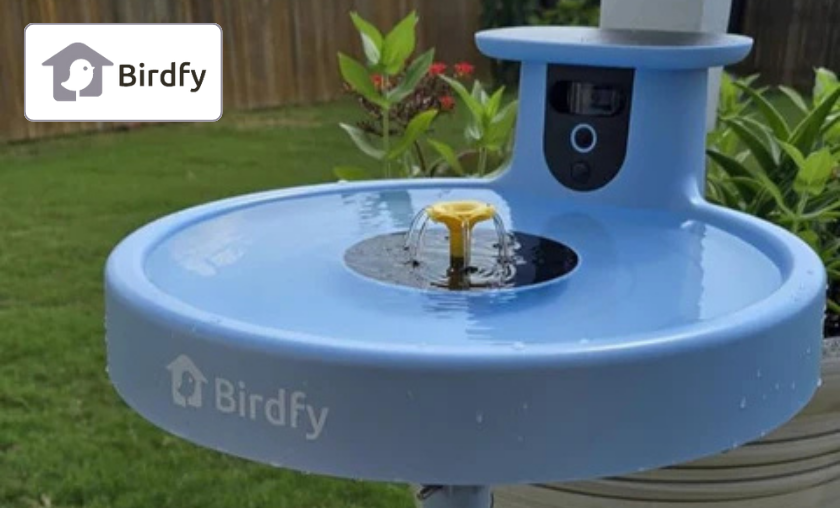 Reasons to Use Birdfy!