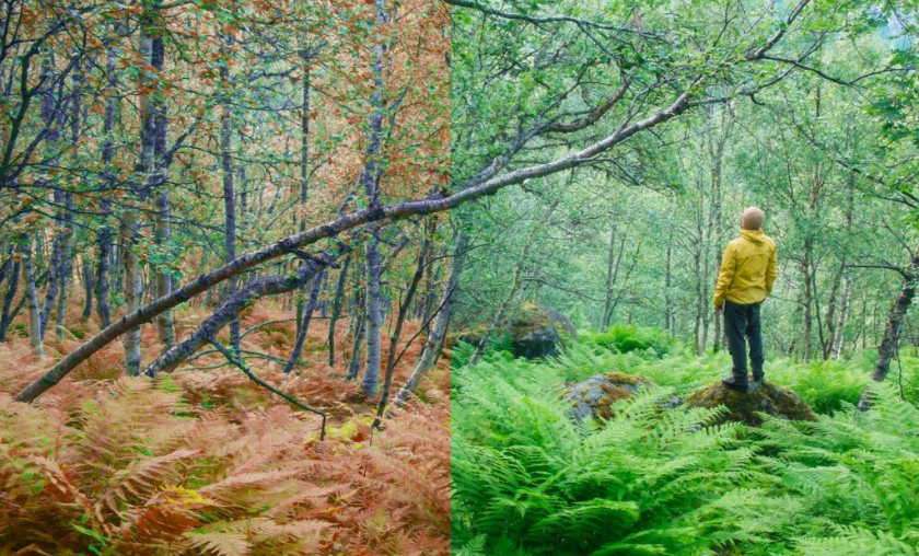 RetouchZone Review: Where Creativity Meets Precision!