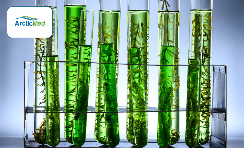 The Story of ArcticMed!