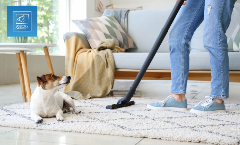 Why People Like The Dustpan and Brush Store!