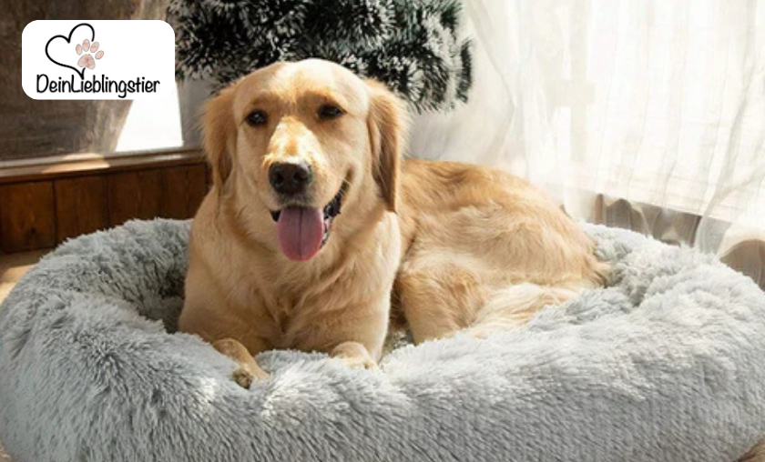 Why Shoppers Love DeinLieblingstier!