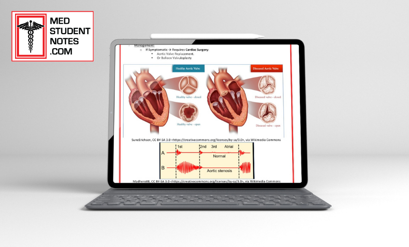 How MedStudentNotes is Better or Works!