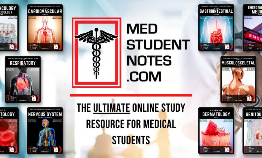 MedStudentNotes Review: Empowering Future Doctors, One Note at a Time!