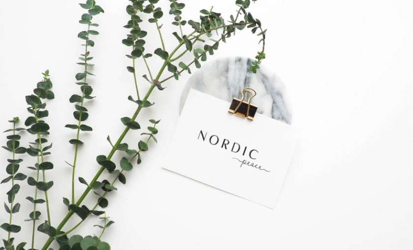 Nordic Peace Review: Scandinavian Style Meets Everyday Comfort!
