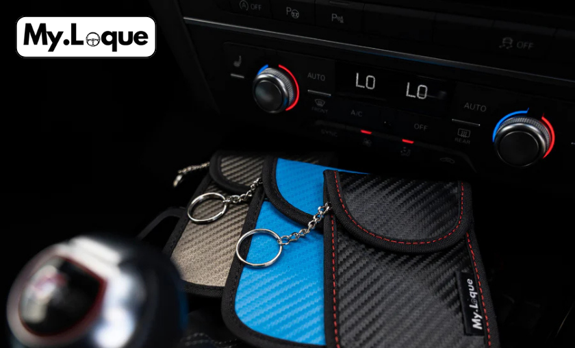 The Story of MyLoque!