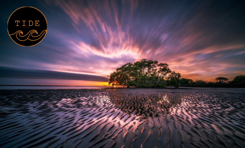 Tide Optics Review: Crafting Clarity Through Every Lens!