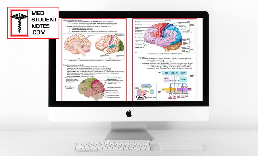 Why People Like MedStudentNotes!