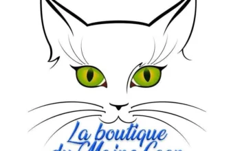 La boutique du Maine Coon Logo
