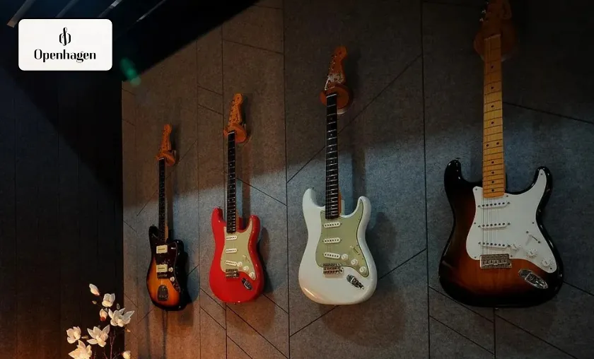 Openhagen Review: Functionality, Design, and Everyday Practicality!