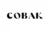 Sitewide 50% OFF on COBAK Offer!
