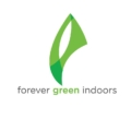 Forever Green Indoors