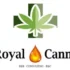 Sitewide 50% OFF on Royaume Éternel Offer!
