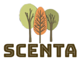 Sitewide 50% OFF on SCENTA Offer!