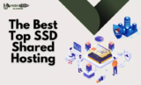 Speed Meets Affordability: The Top SSD Shared Hosting Services of the (October 2025)